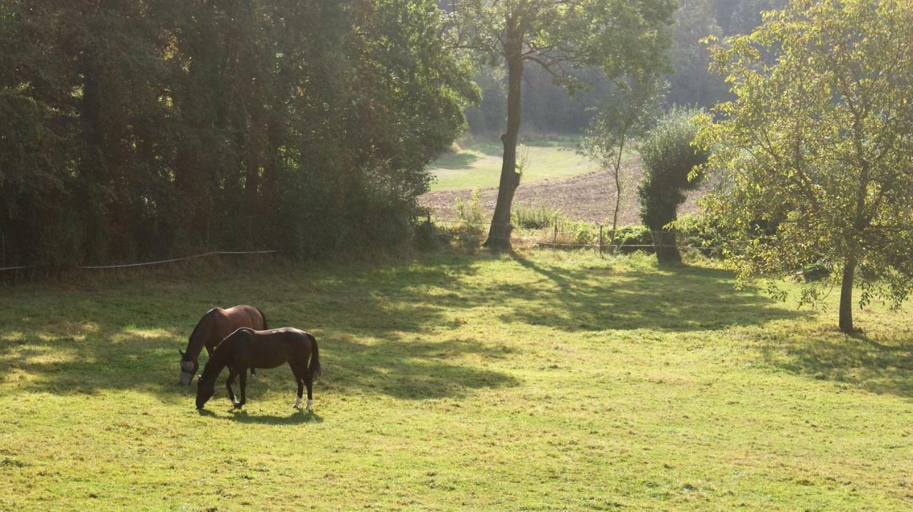 La Passiflore B&B Bossiere Eksteriør bilde